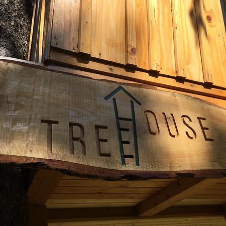 Tree House Alpinka Krvavec Villa Cerklje na Gorenjskem Eksteriør bilde