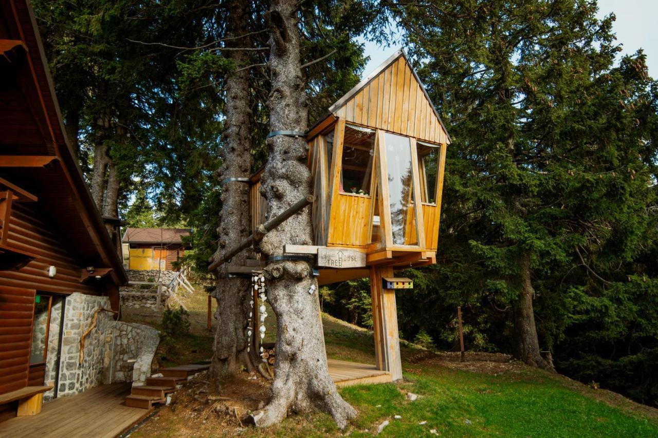 Tree House Alpinka Krvavec Villa Cerklje na Gorenjskem Eksteriør bilde